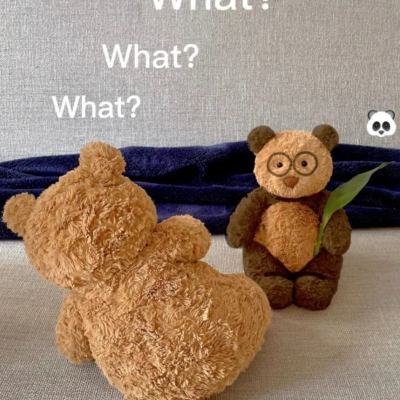 台湾福星彩下载手机版