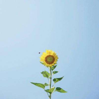 开云·体育(KYSports)