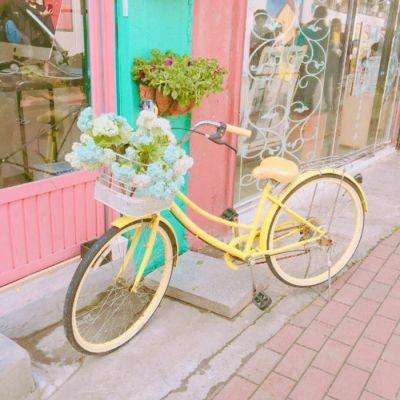 澳门新葡澳京下载手机版