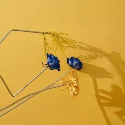 竞赛足球app下载截图